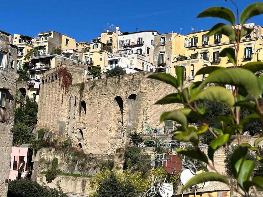 Attico Ventaglieri With Panoramic Terrace Napels